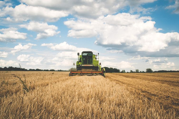 agriculture-1866896_1920