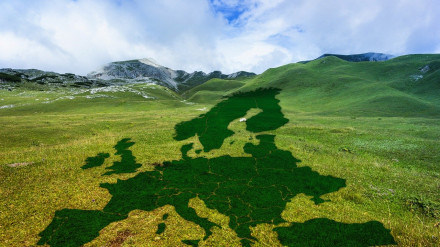 Pacto Verde Europeo: desafíos y oportunidades para los agro-productores y exportadores de América Latina