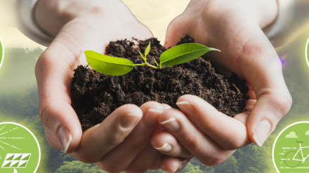 Lack of Agreement on the Sustainable Use of Pesticides in the EU